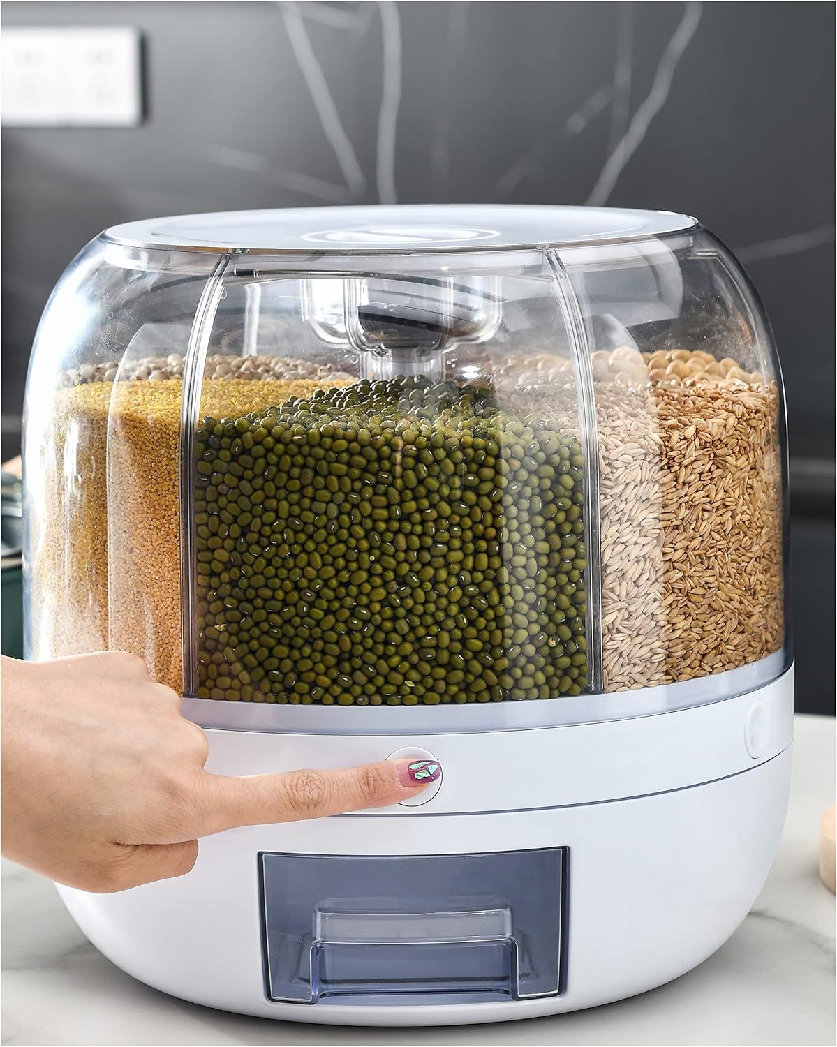 6 Grid Food Storage Dispenser